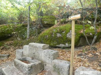 Castañar de la Sierra de San Vicente - Castillo de Viriato;cañon del rio mesa los almorchones queral